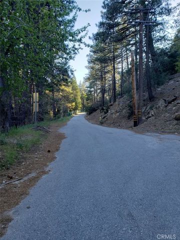 29531 Little Bear Creek Road, Cedar Glen, CA 92321