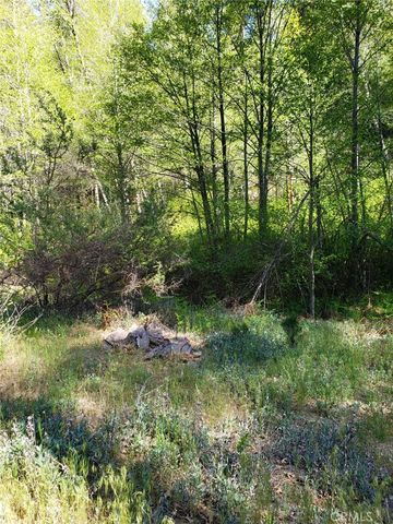 29531 Little Bear Creek Road, Cedar Glen, CA 92321