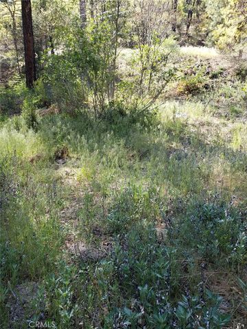 29531 Little Bear Creek Road, Cedar Glen, CA 92321