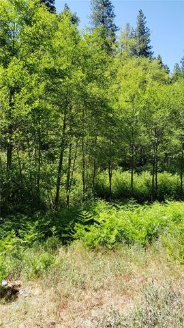 29531 Little Bear Creek Road, Cedar Glen, CA 92321