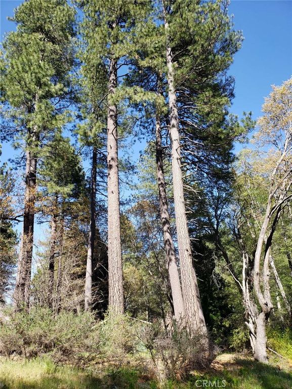 29531 Little Bear Creek Road, Cedar Glen, CA 92321