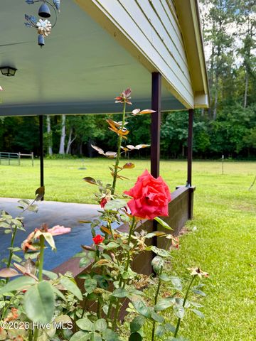 101 Nevil Creek Road, Blounts Creek, NC 27814