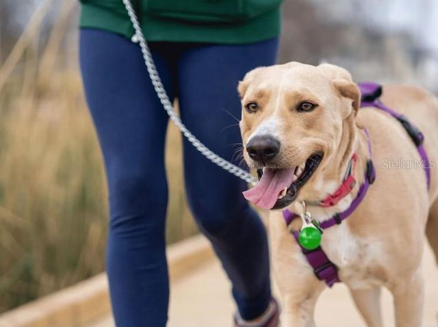 804 SW 80TH WAY, Gainesville, FL 32607