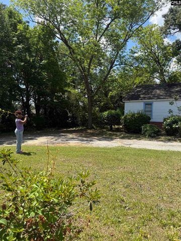 817 Colleton Street, Columbia, SC 29203