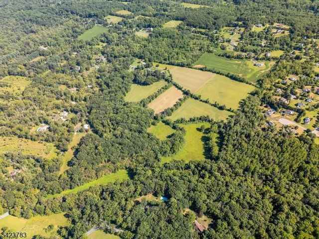 2 Spring Brook Ln, Lebanon Twp., NJ 08826