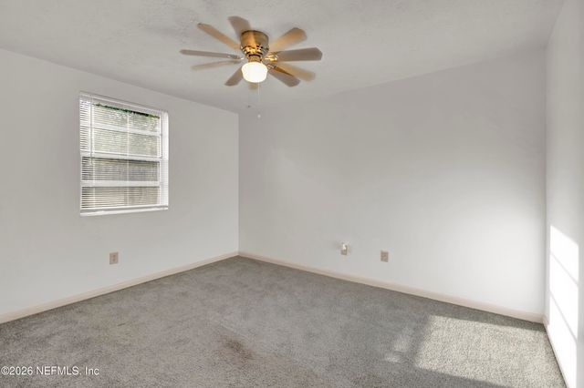 193 EVERGREEN Lane, Middleburg, FL 32068