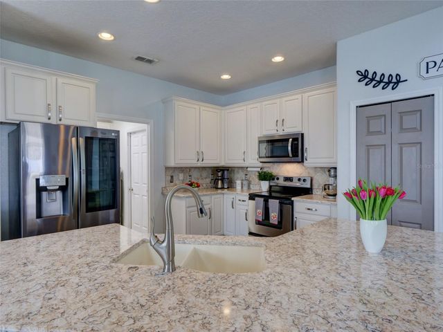 1450 MERION DRIVE, Mount Dora, FL 32757