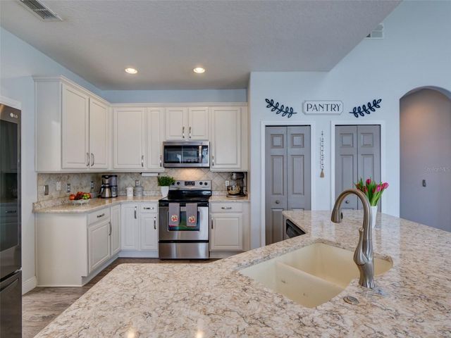 1450 MERION DRIVE, Mount Dora, FL 32757