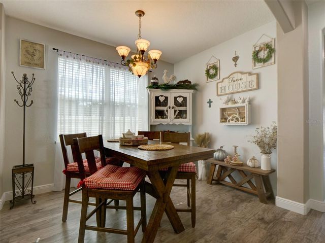 1450 MERION DRIVE, Mount Dora, FL 32757