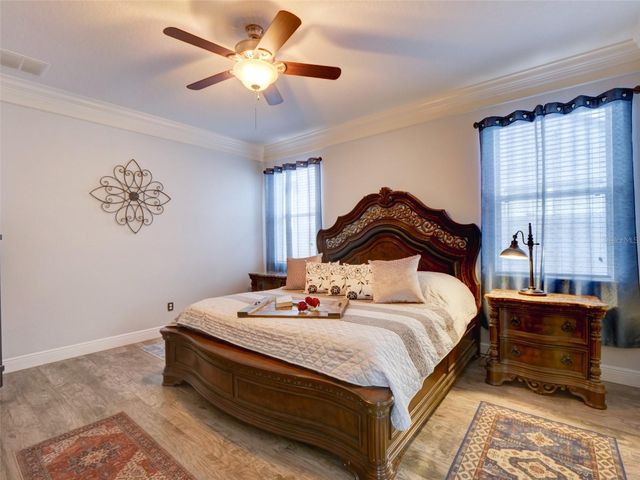 1450 MERION DRIVE, Mount Dora, FL 32757