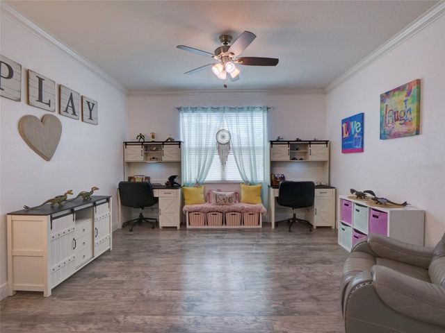 1450 MERION DRIVE, Mount Dora, FL 32757