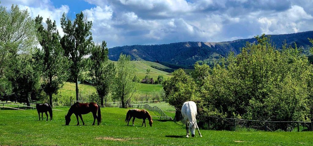 354 Road, Sheridan, WY 82801 photo 4