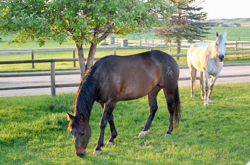 354 Road, Sheridan, WY 82801 photo 41