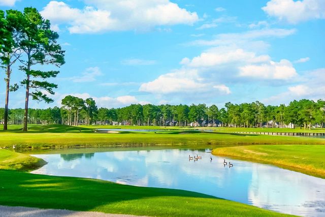 6010 Windsor Green Way Unit 202, Myrtle Beach, SC 29579