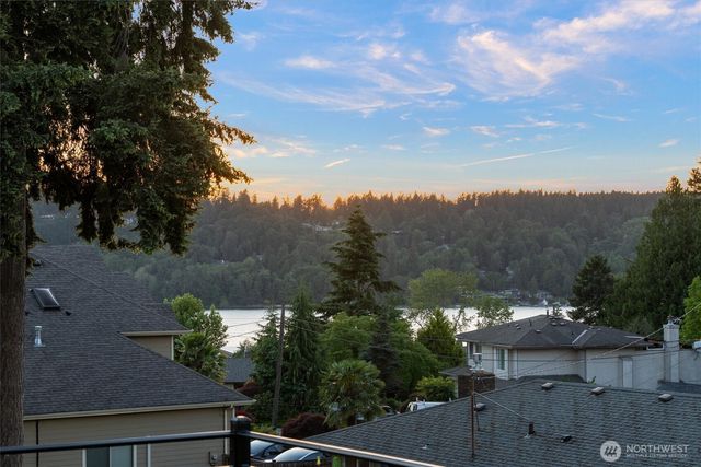 3919 Meadow Avenue N, Renton, WA 98056