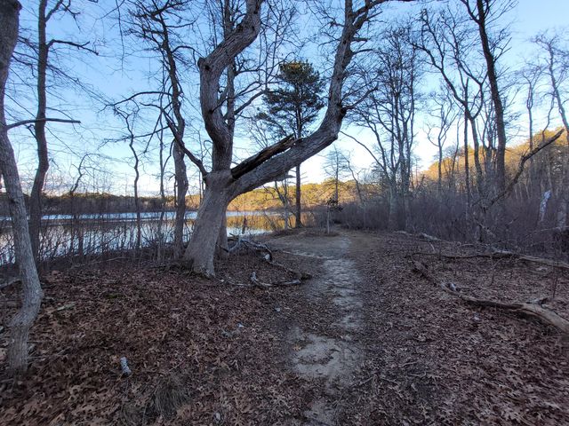 14 S Yarmouth Road, Dennis, MA 02638