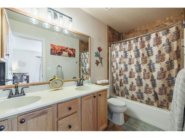21 Shadowood Pl, Woodland Park, CO 80863