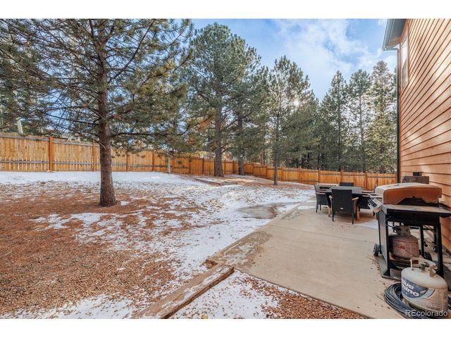 21 Shadowood Pl, Woodland Park, CO 80863