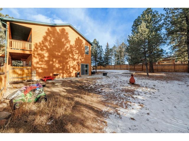 21 Shadowood Pl, Woodland Park, CO 80863