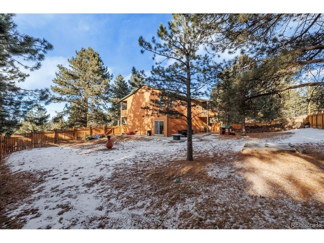21 Shadowood Pl, Woodland Park, CO 80863