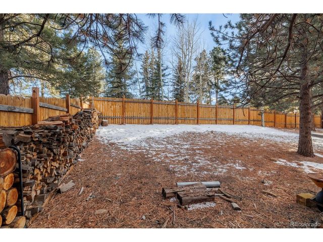 21 Shadowood Pl, Woodland Park, CO 80863