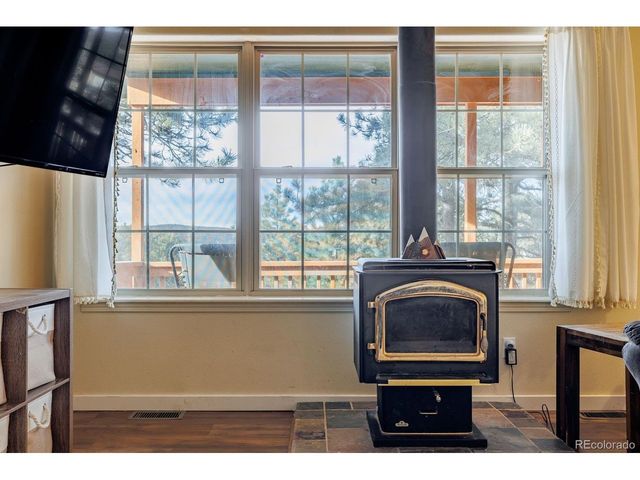 21 Shadowood Pl, Woodland Park, CO 80863