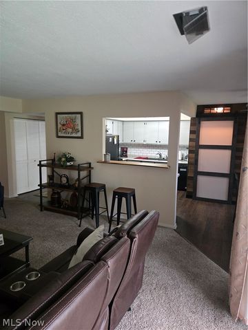 1115 Canyon View Road 402, Sagamore Hills, OH 44067