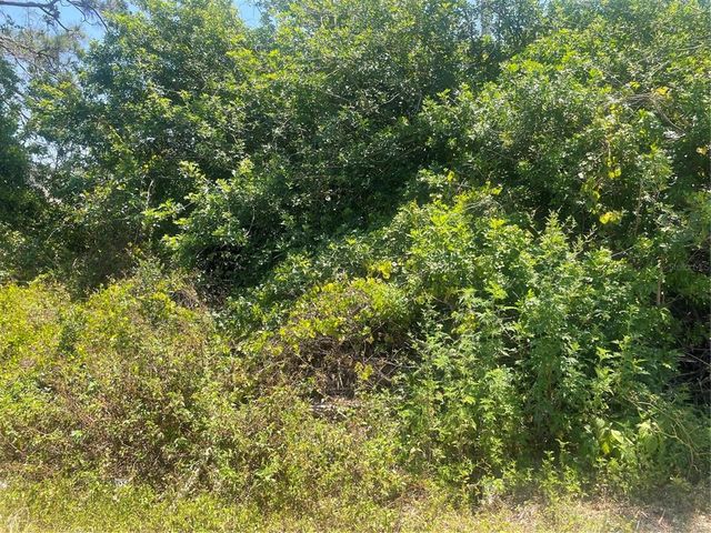 11101 VANESSA AVENUE, Englewood, FL 34224