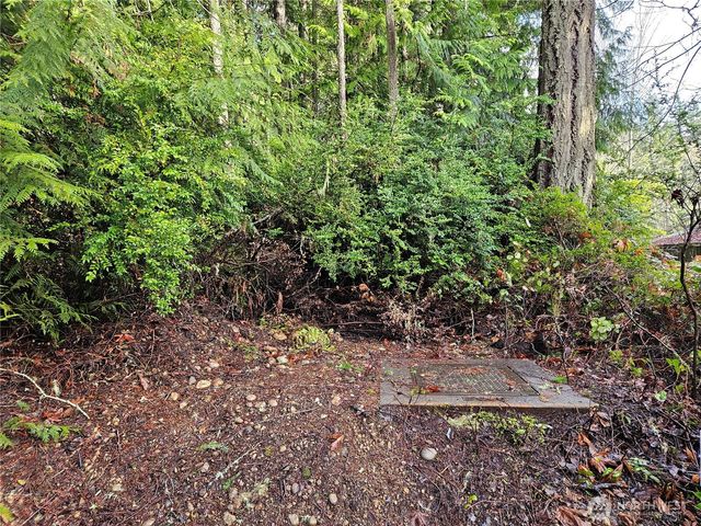 225 NKA Dietz Drive, Quilcene, WA 98376