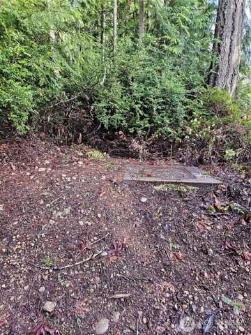 225 NKA Dietz Drive, Quilcene, WA 98376