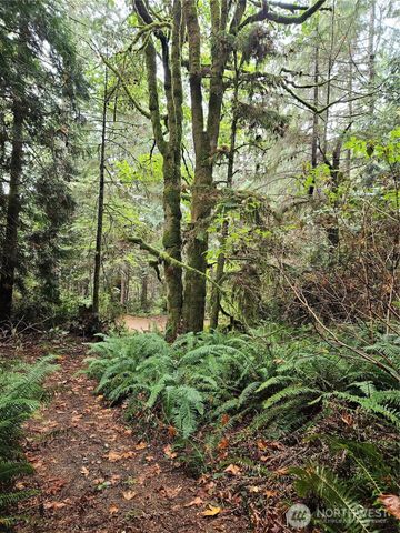 225 NKA Dietz Drive, Quilcene, WA 98376