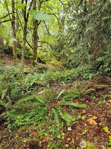 225 NKA Dietz Drive, Quilcene, WA 98376