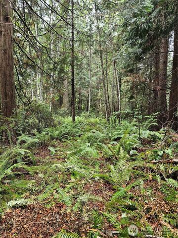 225 NKA Dietz Drive, Quilcene, WA 98376