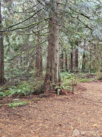 225 NKA Dietz Drive, Quilcene, WA 98376