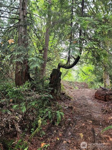 225 NKA Dietz Drive, Quilcene, WA 98376