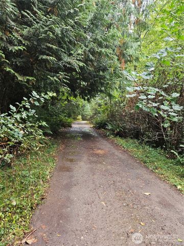 225 NKA Dietz Drive, Quilcene, WA 98376