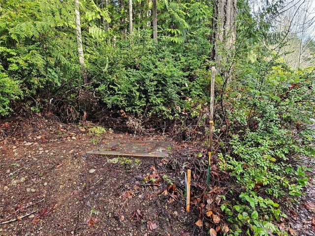 225 NKA Dietz Drive, Quilcene, WA 98376