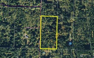 225 NKA Dietz Drive, Quilcene, WA 98376