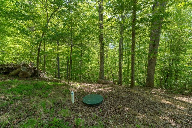 474 Timberlake Dr, Smithville, TN 37166