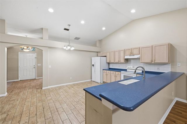 16208 SWENSON TERRACE, Lutz, FL 33549