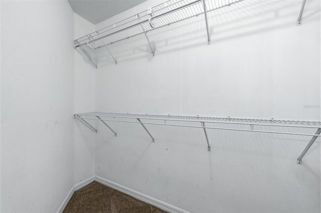 16208 SWENSON TERRACE, Lutz, FL 33549