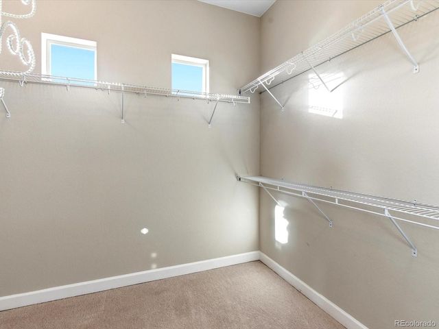 6579 S Vaughn Street, Centennial, CO 80111