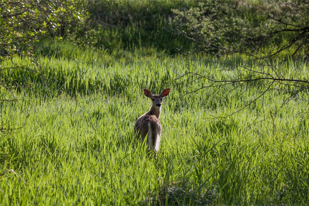 31200 Ninemile Road, Huson, MT 59846 photo 8