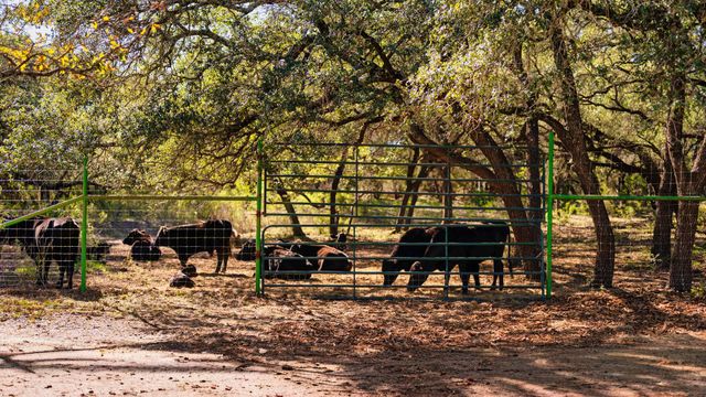 25711 Hamilton Pool RD, Round Mountain, TX 78663