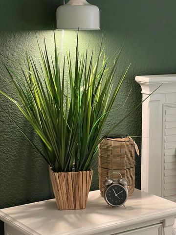 241 SW Palm Dr Apt 203, Port St Lucie, FL 34986