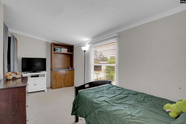 209 Boiling Springs Lane, Lexington, SC 29073