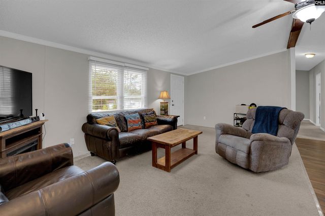 209 Boiling Springs Lane, Lexington, SC 29073