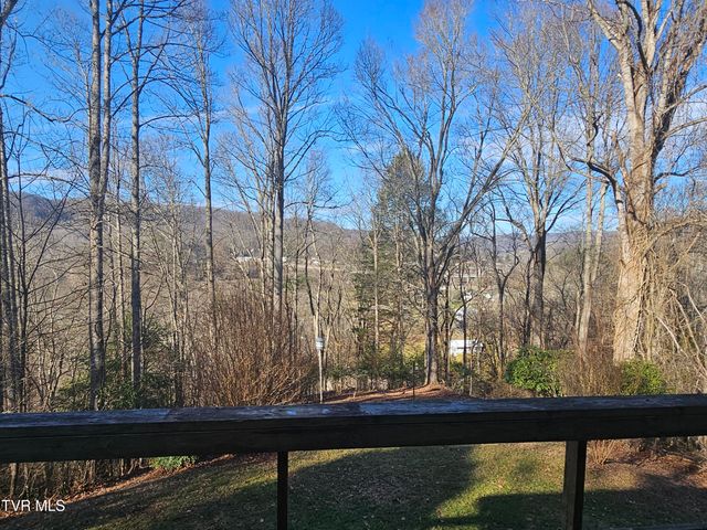 329 Southwest Chalet Drive, Coeburn, VA 24230