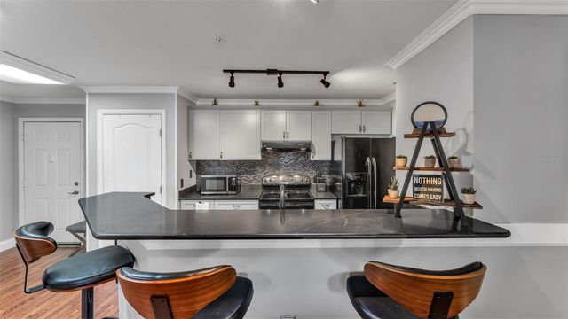 1640 VILLA CAPRI CIRCLE 303, Odessa, FL 33556