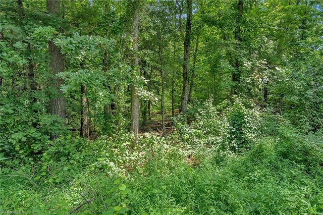 TBD Raven Oak Drive, Wilkesboro, NC 28697